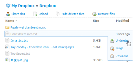Dropbox supports version history